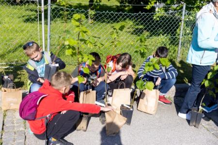 PIVKA DRŽAVNO TEKMOVANJE MLADIH ČEBELARJEV 11.5.2024 - Valter Leban-9354 (Small)